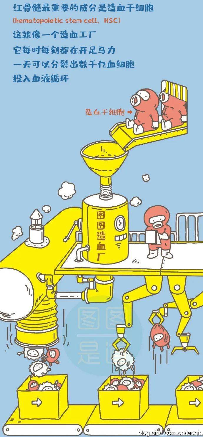 探究三角形內角和的奧秘 數學類科技展品科普器材教學儀器解析